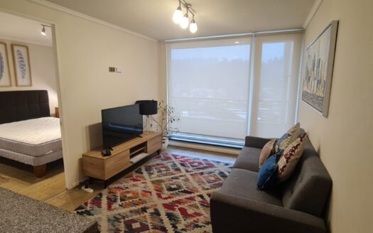 Moderno departamento amoblado en Concepción