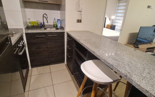 Moderno departamento amoblado en Concepción