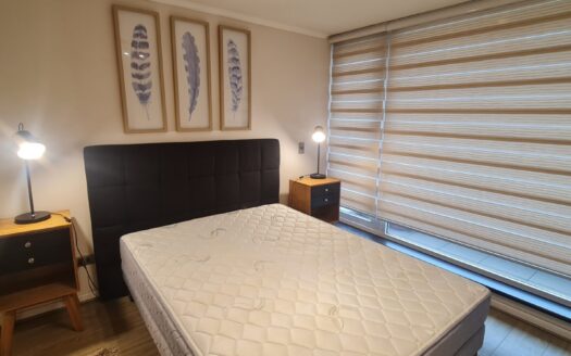 Moderno departamento amoblado en Concepción