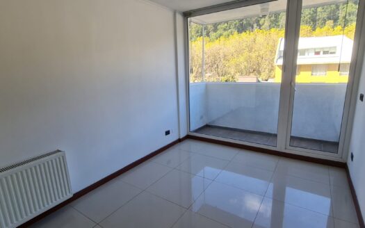 Céntrico departamento en Concepción