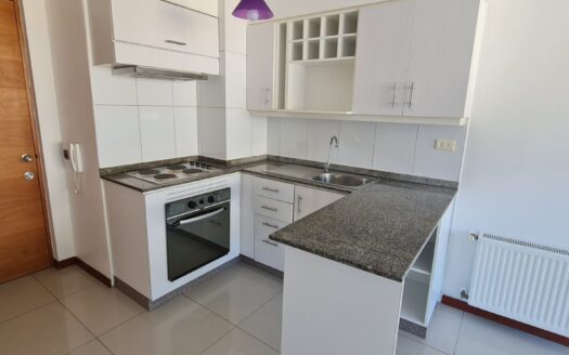 Céntrico departamento en Concepción