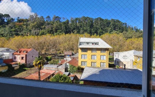 Céntrico departamento en Concepción