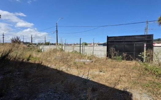 Impecable y amplio galpón en Talcahuano