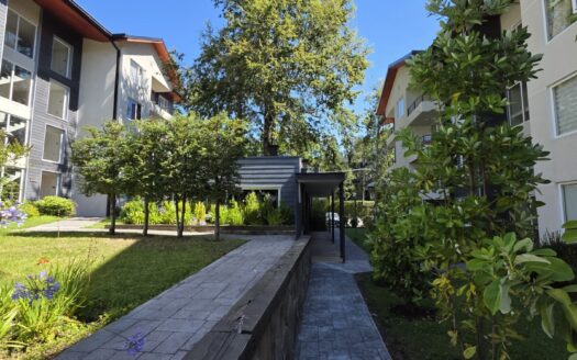 Impecable departamento amoblado en Pucón