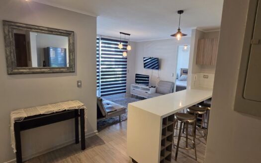 Impecable departamento amoblado en Pucón