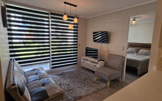 Impecable departamento amoblado en Pucón