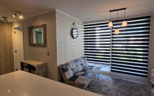 Impecable departamento amoblado en Pucón