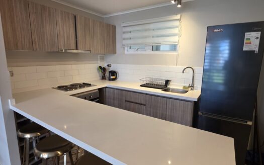 Impecable departamento amoblado en Pucón