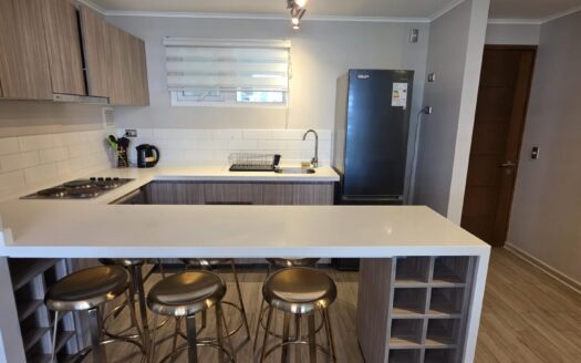 Impecable departamento amoblado en Pucón