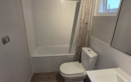 Impecable departamento amoblado en Pucón