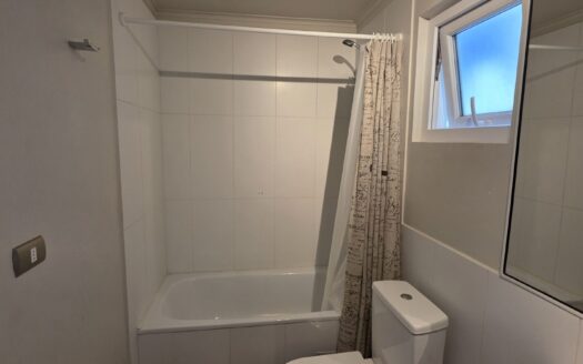 Impecable departamento amoblado en Pucón