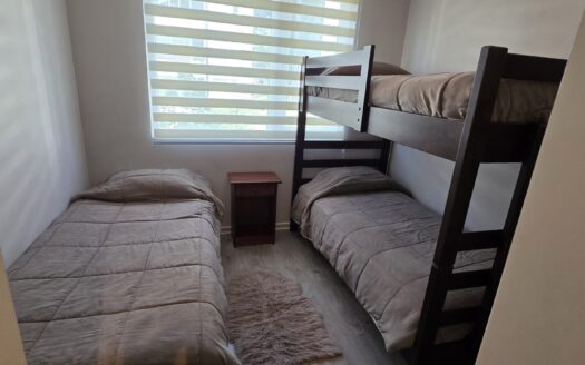 Impecable departamento amoblado en Pucón