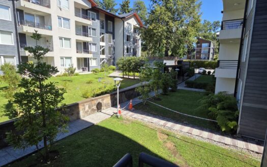 Impecable departamento amoblado en Pucón