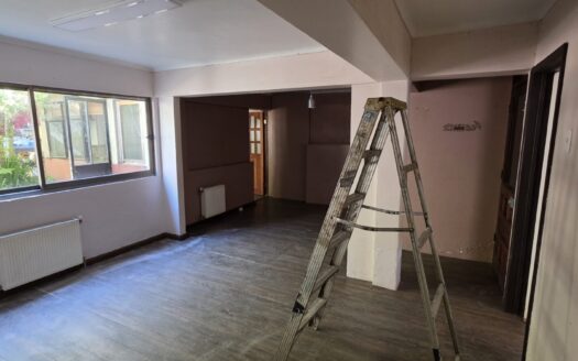 Amplio y céntrico departamento en Concepción