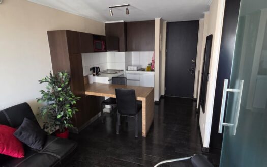 Impecable departamento en Santiago