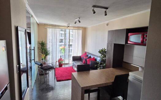 Impecable departamento en Santiago