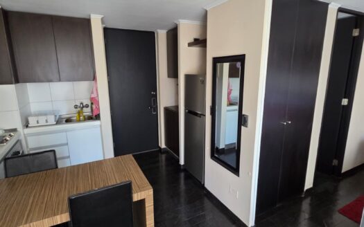 Impecable departamento en Santiago