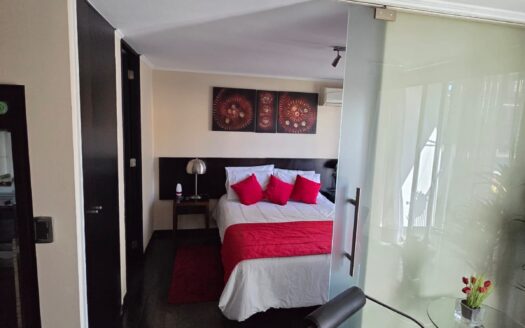 Impecable departamento en Santiago