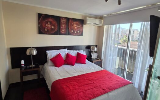 Impecable departamento en Santiago