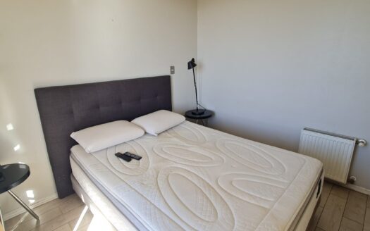 Departamento amoblado en San Pedro de la Paz