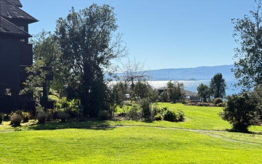 Se arrienda departamento amoblado en La Puntilla de Villarrica