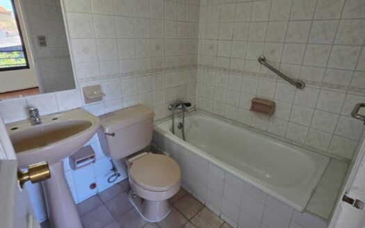 Acogedor departamento en Providencia