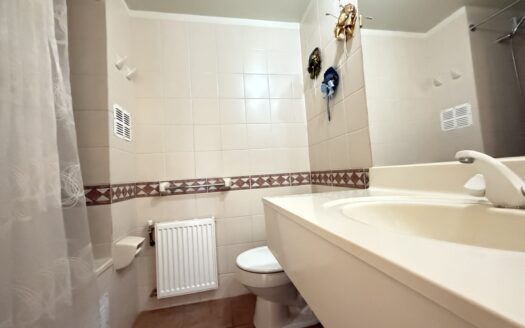 Se arrienda departamento amoblado en La Puntilla de Villarrica