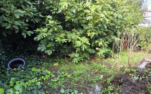 Amplio galpón en Talcahuano