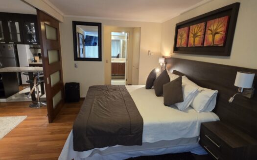 Exclusivo departamento en Lomas de San Andrés