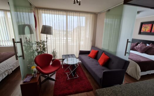 Departamento amoblado en Concepción