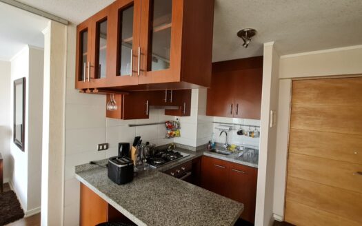 Departamento amoblado en Concepción