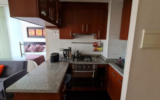 Departamento amoblado en Concepción