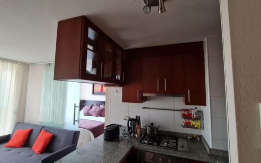 Departamento amoblado en Concepción