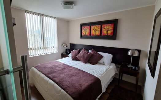 Departamento amoblado en Concepción