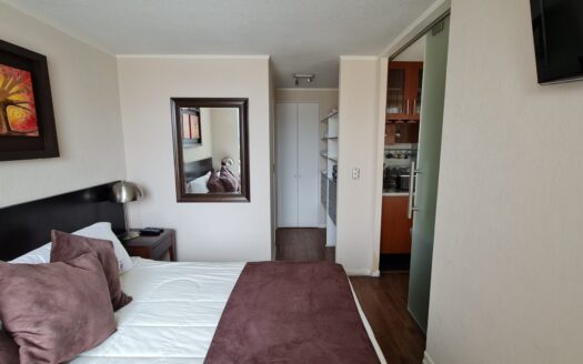 Departamento amoblado en Concepción