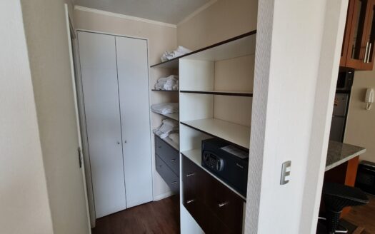 Departamento amoblado en Concepción