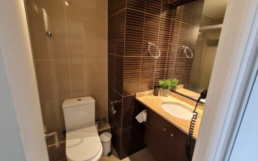 Departamento amoblado en Concepción