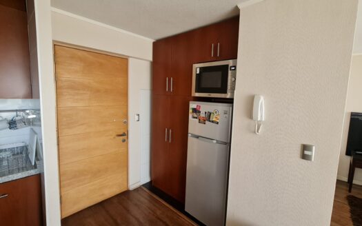 Departamento amoblado en Concepción