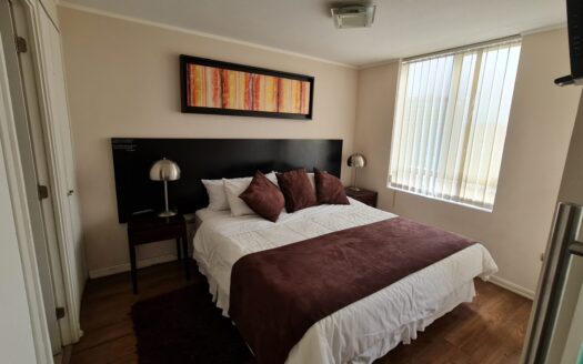 Departamento amoblado en Concepción
