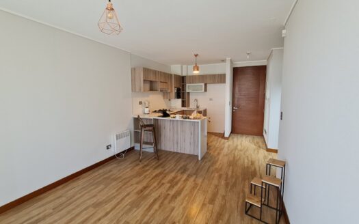 Se arrienda exclusivo y moderno departamento en Idahue