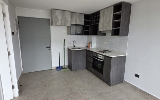 Se arrienda moderno departamento en Concepción