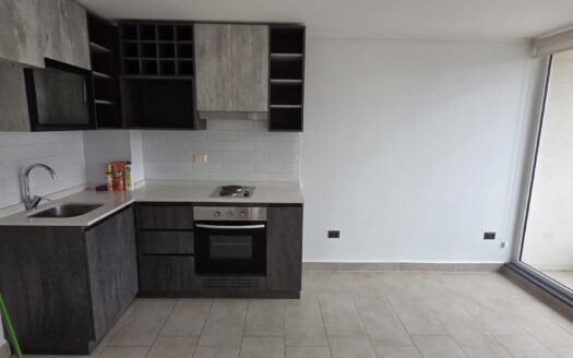 Se arrienda moderno departamento en Concepción