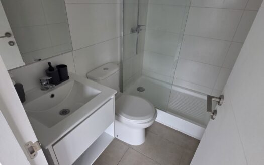 Se arrienda moderno departamento en Concepción