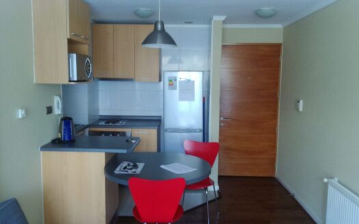 Se arrienda departamento amoblado en Parque Urbano 2