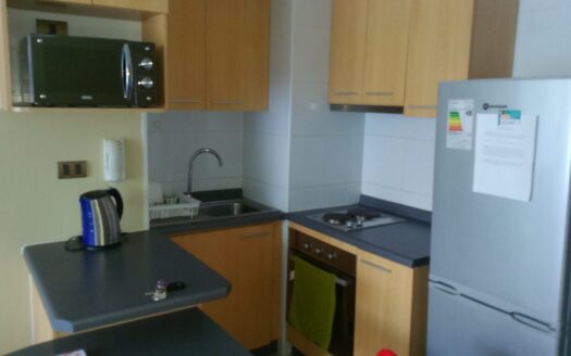 Se arrienda departamento amoblado en Parque Urbano 2