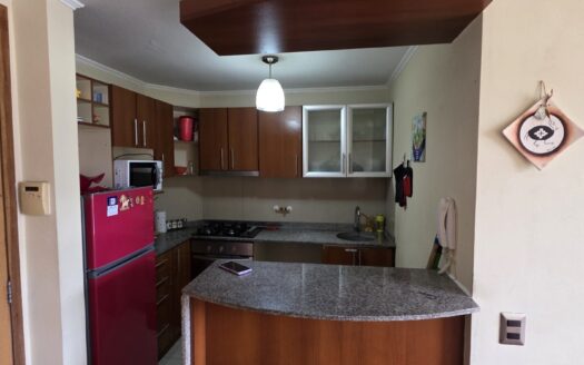 Se arrienda departamento amoblado en pleno centro de Concepción