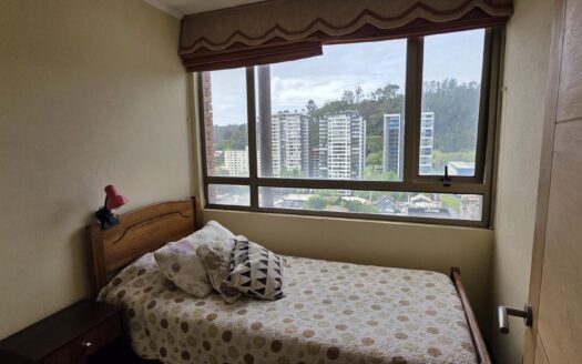 Se arrienda departamento amoblado en pleno centro de Concepción
