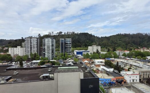 Se arrienda departamento amoblado en pleno centro de Concepción