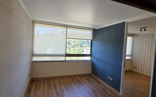 Se vende céntrico departamento en Concepción