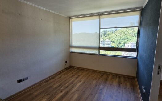 Se vende céntrico departamento en Concepción
